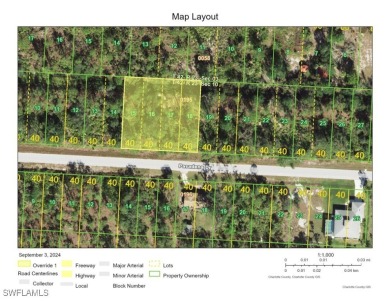 Beach Lot For Sale in Punta Gorda, Florida