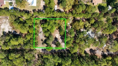 Beach Lot For Sale in Santa Rosa Beach, Florida