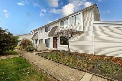 Beach Condo For Sale in Willoughby, Ohio