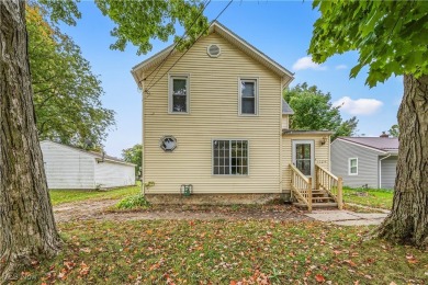 Beach Home For Sale in Ashtabula, Ohio