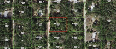 Beach Lot For Sale in Inglis, Florida