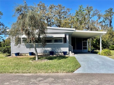 Beach Home For Sale in Safety Harbor, Florida