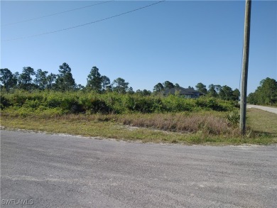 Beach Lot For Sale in Lehigh Acres, Florida