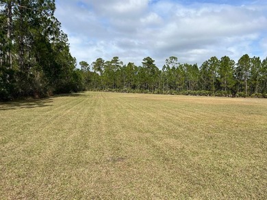Beach Acreage For Sale in Port Orange, Florida