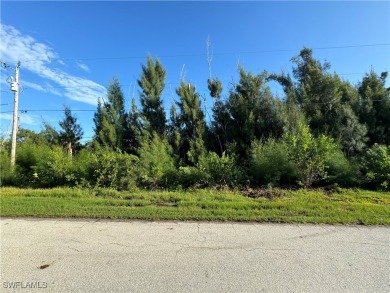 Beach Lot For Sale in St. James City, Florida