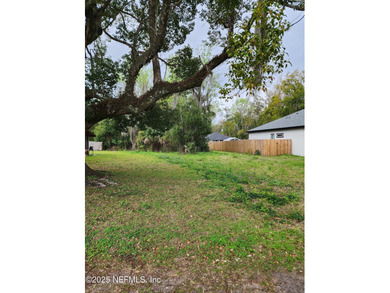 Beach Lot For Sale in Green Cove Springs, Florida