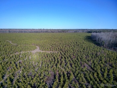 Beach Acreage For Sale in Au Train, Michigan