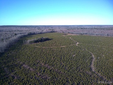 Beach Acreage For Sale in Au Train, Michigan