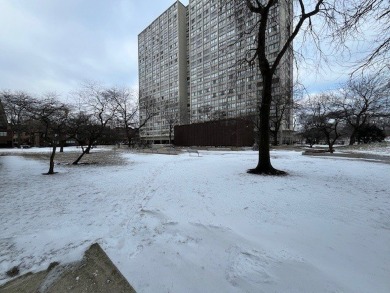 Beach Home For Sale in Chicago, Illinois