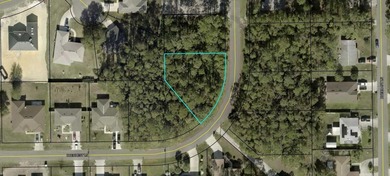 Beach Lot For Sale in Palm Coast, Florida