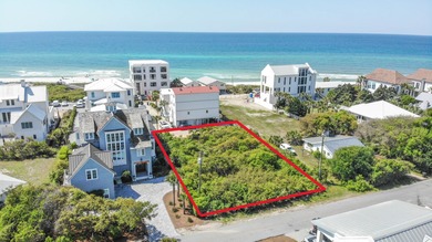 Beach Lot For Sale in Inlet Beach, Florida