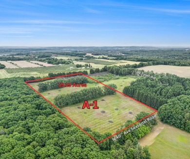 Beach Acreage For Sale in Mears, Michigan