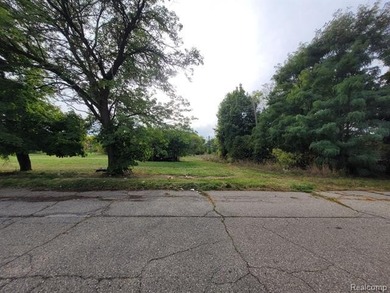 Beach Lot For Sale in Detroit, Michigan