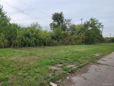 Beach Lot For Sale in Detroit, Michigan