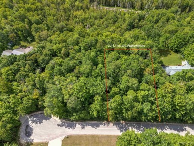 Beach Lot For Sale in Manistique, Michigan
