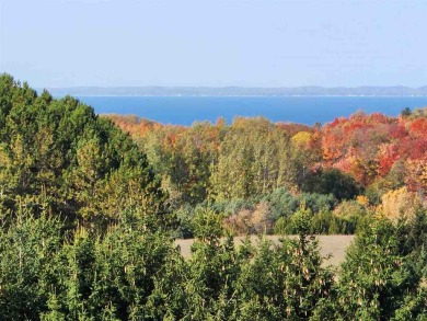 Beach Lot For Sale in Ellsworth, Michigan