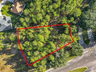 Beach Lot For Sale in Homosassa, Florida