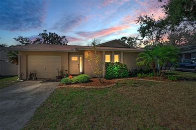 Beach Home For Sale in Palm Harbor, Florida