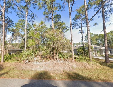Beach Lot For Sale in Palm Coast, Florida