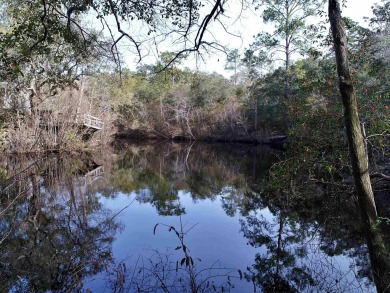 Beach Lot For Sale in Sopchoppy, Florida