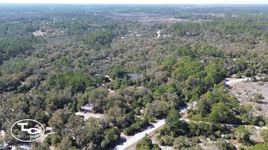 Beach Acreage For Sale in Cedar Key, Florida