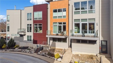 Beach Townhome/Townhouse For Sale in Lakewood, Ohio