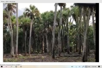 Beach Acreage For Sale in Merritt Island, Florida