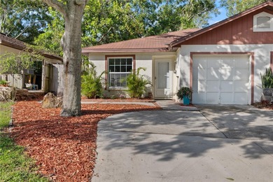 Beach Home For Sale in Palm Harbor, Florida