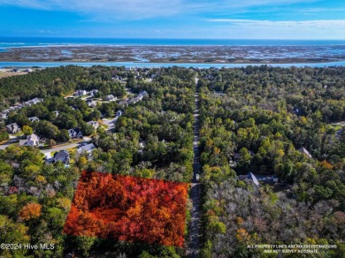 Beach Lot For Sale in Hampstead, North Carolina