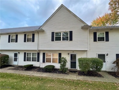 Beach Condo For Sale in Willoughby, Ohio