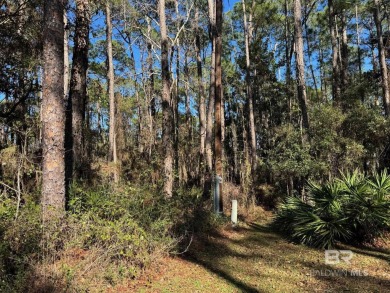 Beach Lot For Sale in Dauphin Island, Alabama