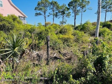 Beach Lot For Sale in Port St Joe, Florida