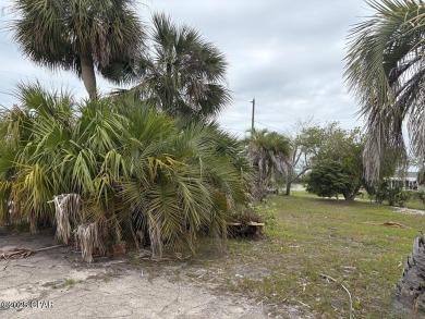 Beach Lot For Sale in Mexico Beach, Florida