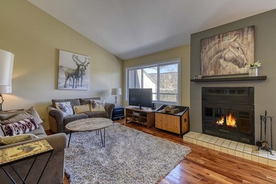 Condo For Sale in Mont-Tremblant image photo picture