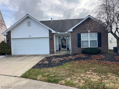 Beach Home For Sale in Lorain, Ohio