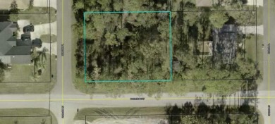 Beach Lot For Sale in Palm Coast, Florida