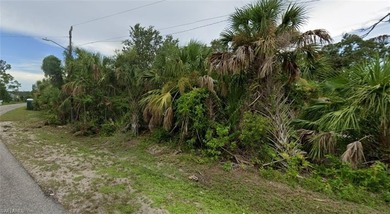 Beach Lot For Sale in North Port, Florida