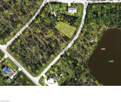 Beach Lot For Sale in Punta Gorda, Florida