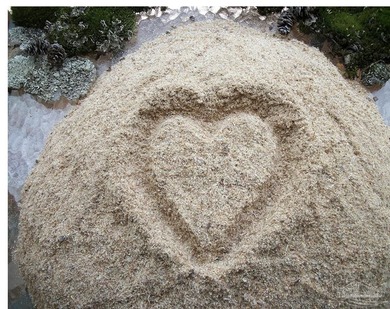 Beach Acreage Sale Pending in Milton, Florida