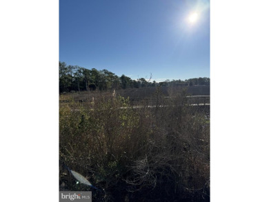 Beach Lot For Sale in Bethany Beach, Delaware