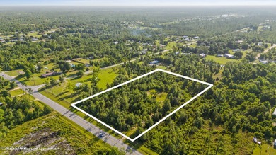 Beach Acreage For Sale in Panama City, Florida