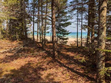 Beach Lot For Sale in Beaver Island, Michigan