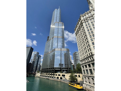Beach Condo For Sale in Chicago, Illinois