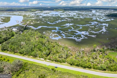 Beach Acreage For Sale in Woodbine, Georgia
