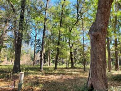 Beach Lot Off Market in Beaufort, South Carolina