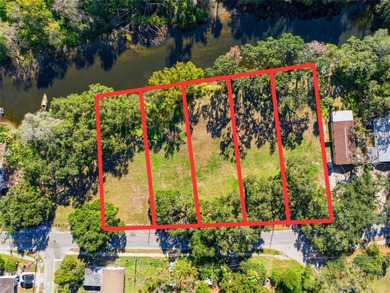 Beach Lot For Sale in Tampa, Florida