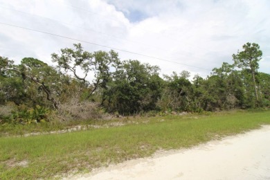 Beach Acreage For Sale in Perry, Florida