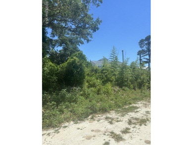 Beach Lot For Sale in Wilmington, North Carolina