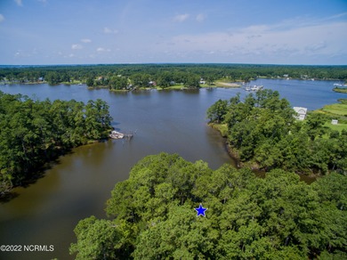 Beach Acreage Sale Pending in Belhaven, North Carolina