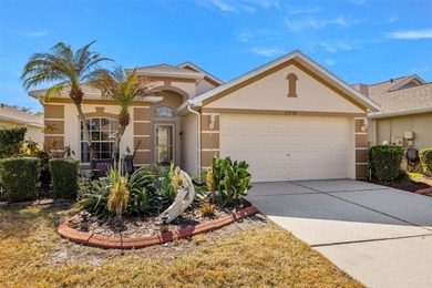 Beach Home For Sale in Land O Lakes, Florida